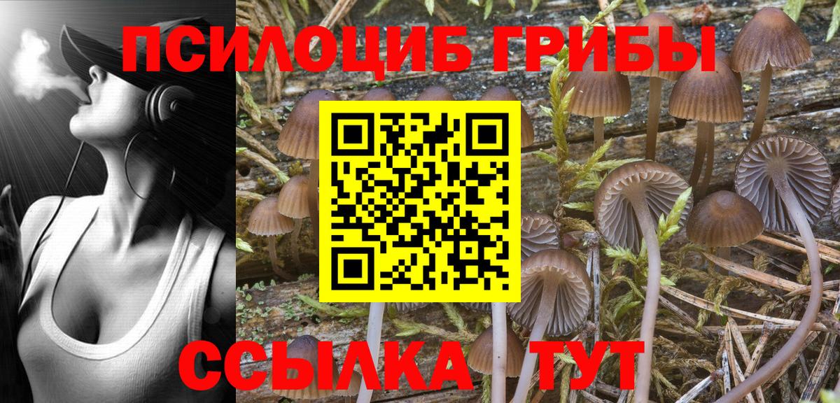 Псилоцибиновые грибы мухоморы Лангепас